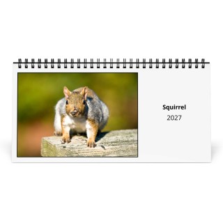 Squirrel 2027 Desk Calendar