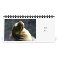 Sello 2027 Calendario de Escritorio
