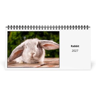 Rabbit 2027 Desk Calendar