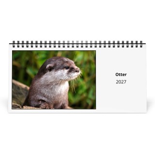 Otter 2027 Desk Calendar