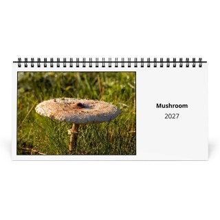 Mushroom 2027 Desk Calendar
