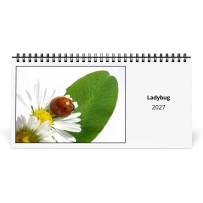 Ladybug 2027 Desk Calendar