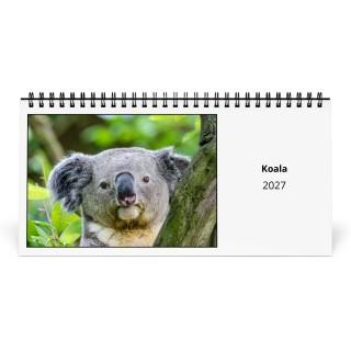 Koala 2027 Desk Calendar