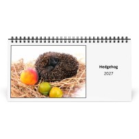 Riccio 2027 Calendario da Tavolo