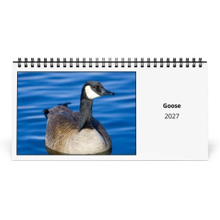 Goose 2027 Desk Calendar