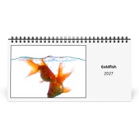 Poisson Rouge 2027 Calendrier de Bureau