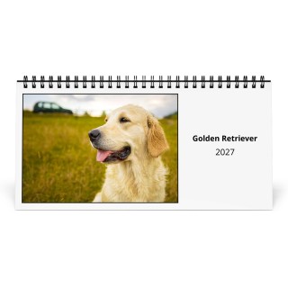 Golden Retriever 2027 Desk Calendar