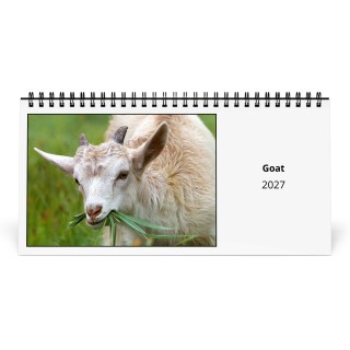 Goat 2027 Desk Calendar
