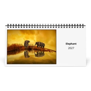 Elephant 2027 Desk Calendar