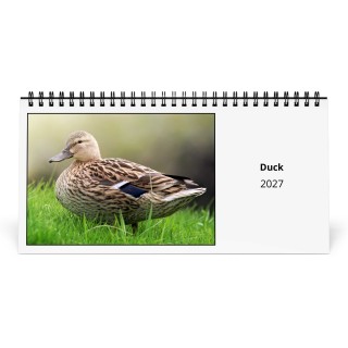 Duck 2027 Desk Calendar