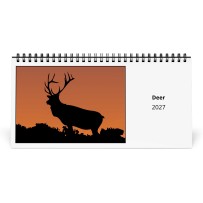Reh 2027 Tischkalender