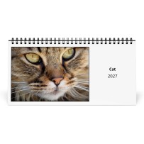 猫 2027 年卓上カレンダー