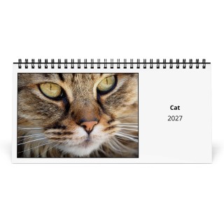 Cat 2027 Desk Calendar
