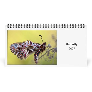 Butterfly 2027 Desk Calendar