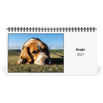Beagle 2027 Skrivebordskalender