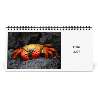 Crabs 2027 Desk Calendar
