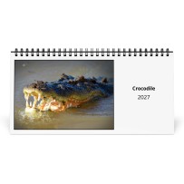 Cocodrilo 2027 Calendario de Escritorio