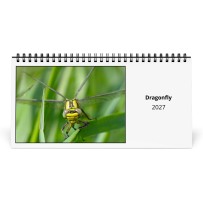 Dragonfly 2027 Desk Calendar