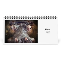 Hipopótamo 2027 Calendario de Escritorio