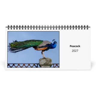 Peacock 2027 Desk Calendar