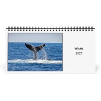 Balena 2027 Calendario da Tavolo
