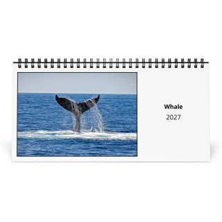 Whale 2027 Desk Calendar