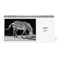 Zebra 2027 Desk Calendar