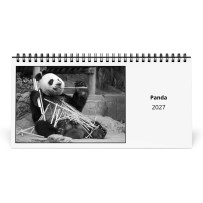 Panda 2027 Bureaukalender