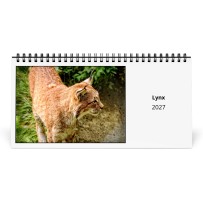 Lince 2027 Calendario da Tavolo
