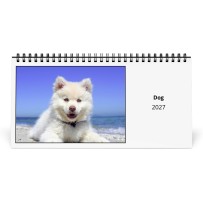 Dog 2027 Desk Calendar
