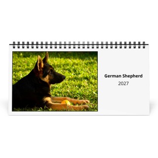 German Shepherd 2027 Desk Calendar