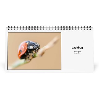 Ladybug 2027 Desk Calendar