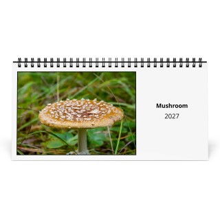 Mushroom 2027 Desk Calendar
