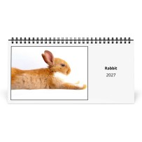 Rabbit 2027 Desk Calendar