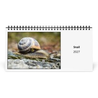 Snail 2027 Desk Calendar