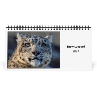 Snow Leopard 2027 Desk Calendar