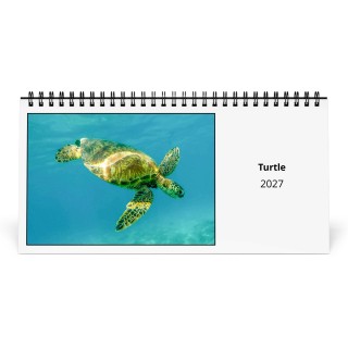 Turtle 2027 Desk Calendar
