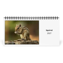 Squirrel 2027 Desk Calendar
