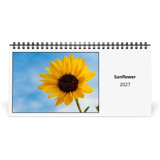 Sunflower 2027 Desk Calendar