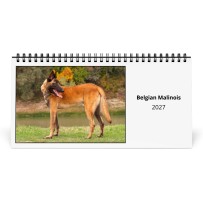 Belgische Mechelaar 2027 Bureaukalender
