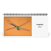 Libellula 2027 Calendario da Tavolo