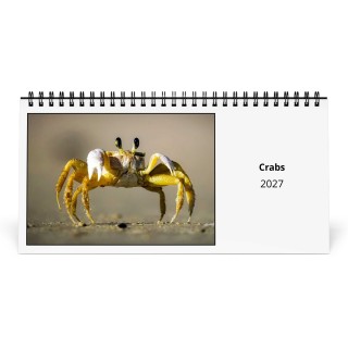 Crabs 2027 Desk Calendar