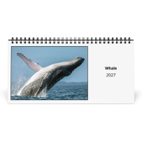 Whales of Wonder (第III巻)