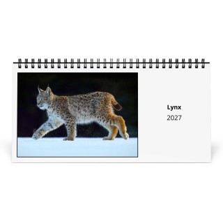 Lynx 2027 Desk Calendar