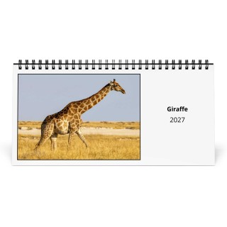 Giraffe 2027 Desk Calendar