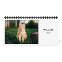 Gatti Arancioni 2027 Calendario da Tavolo