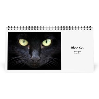 Black Cat 2027 Desk Calendar