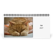 Katt 2027 Skrivbordskalender