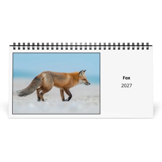Fox 2027 Desk Calendar