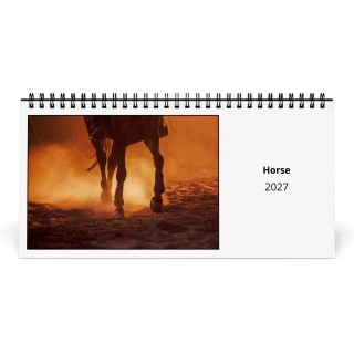 Horse 2027 Desk Calendar